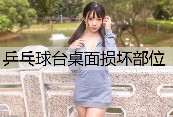 乒乓球台桌面损坏部位