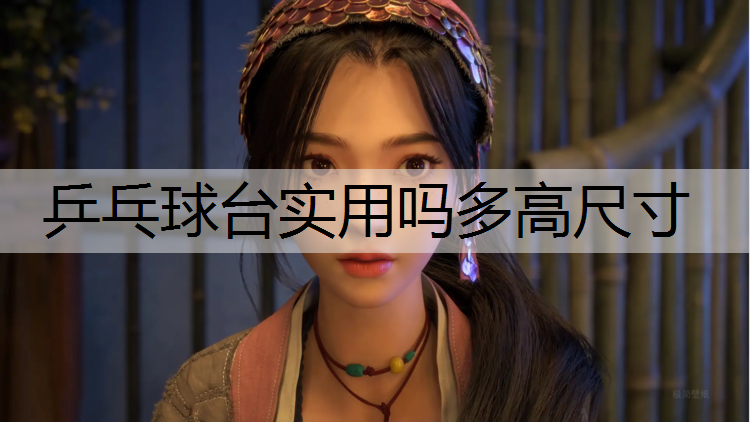 乒乓球台实用吗多高尺寸