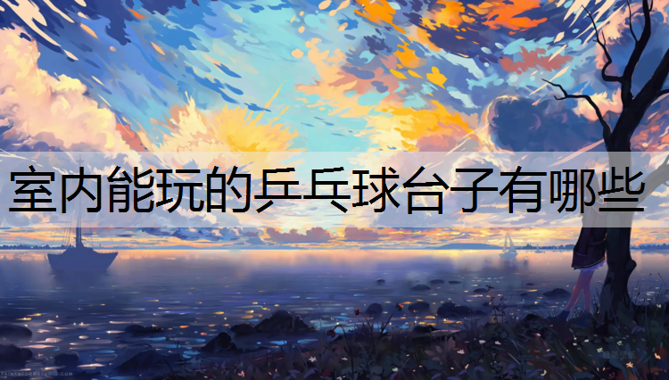 室内能玩的乒乓球台子有哪些