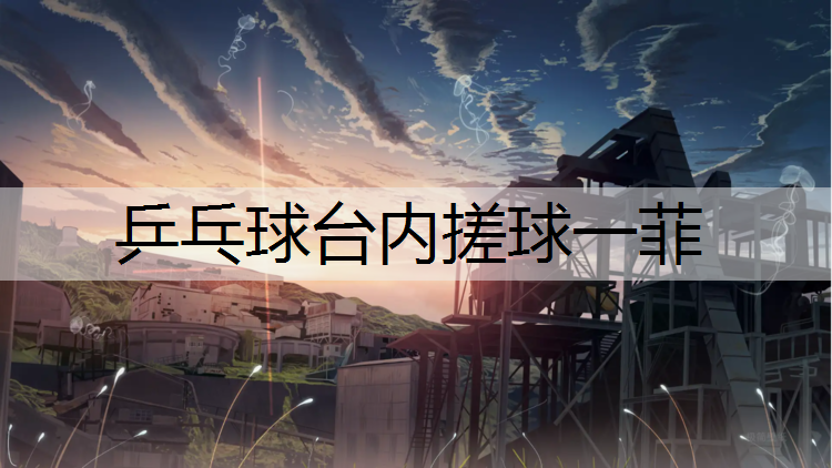 乒乓球台内搓球一菲