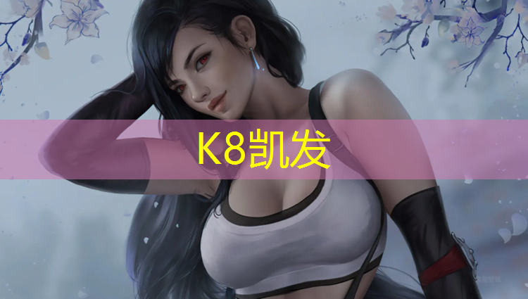 K8凯发中国官方网站：健腹轮哪个好用又便宜又好用
