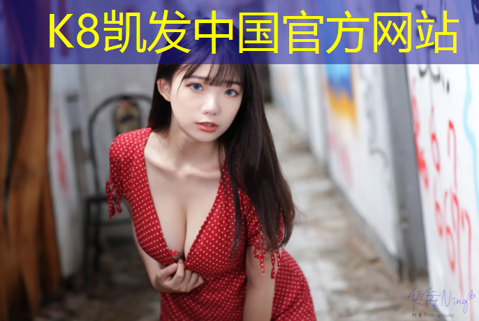 K8凯发：网球网室外型实战型高档网网