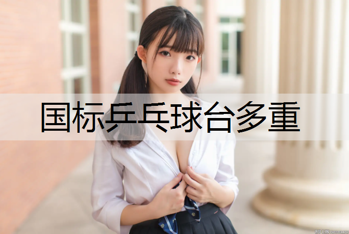 国标乒乓球台多重