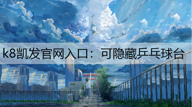 可隐藏乒乓球台