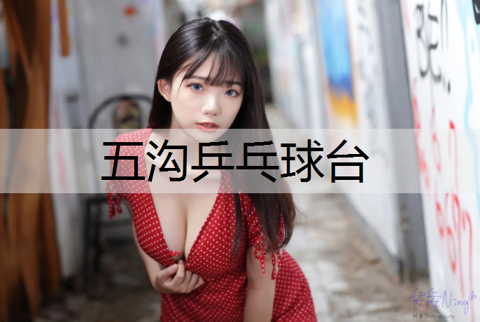 五沟乒乓球台
