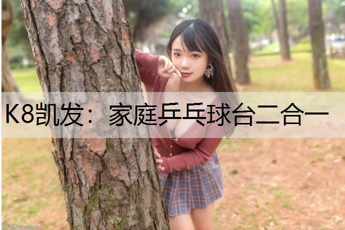 家庭乒乓球台二合一