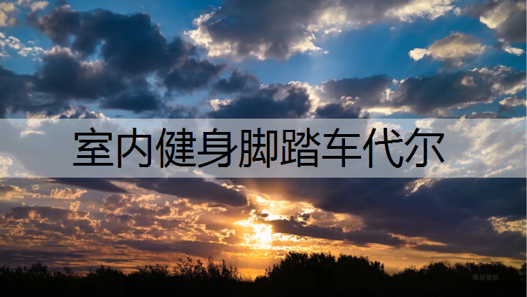 室内健身脚踏车代尔