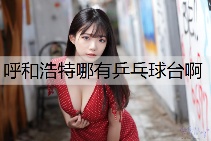呼和浩特哪有乒乓球台啊