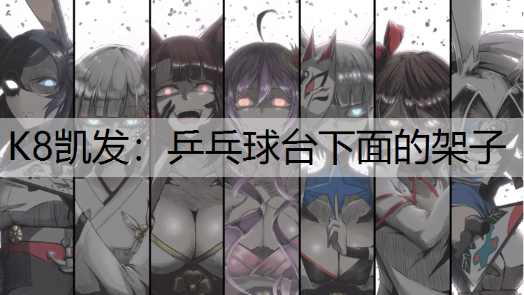 乒乓球台下面的架子