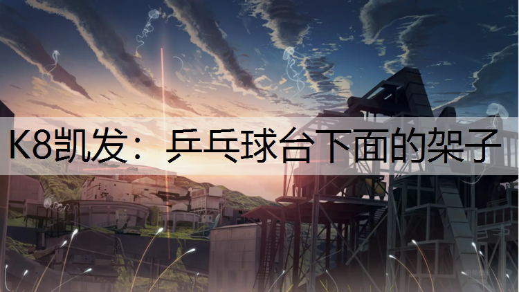乒乓球台下面的架子