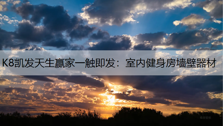 室内健身房墙壁器材