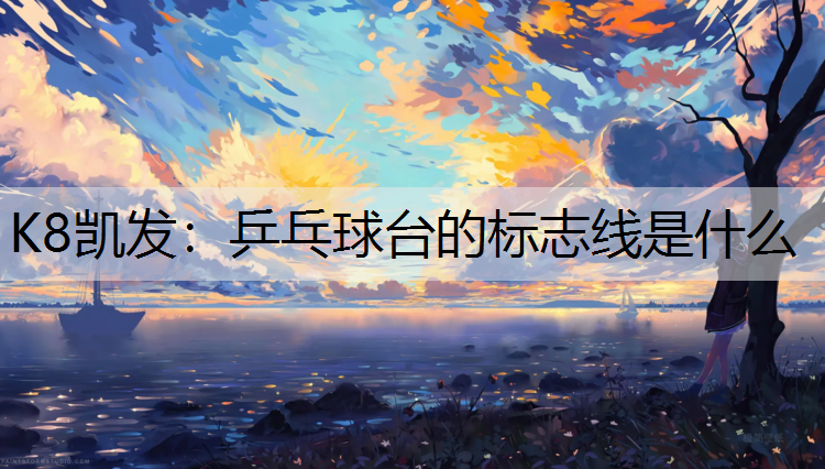 乒乓球台的标志线是什么 乒乓球台的标志线是什么