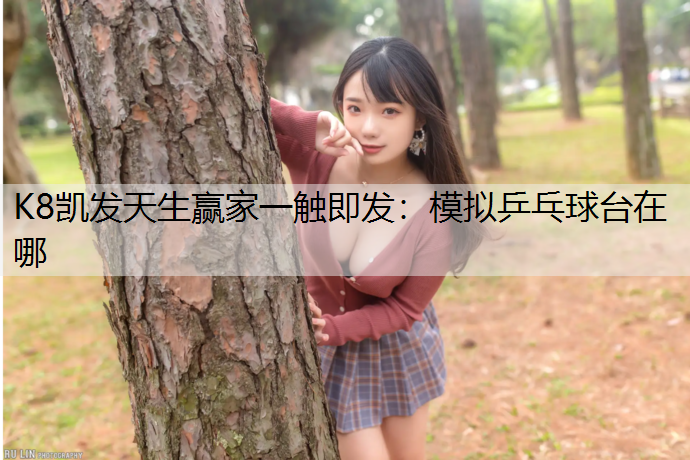 模拟乒乓球台在哪